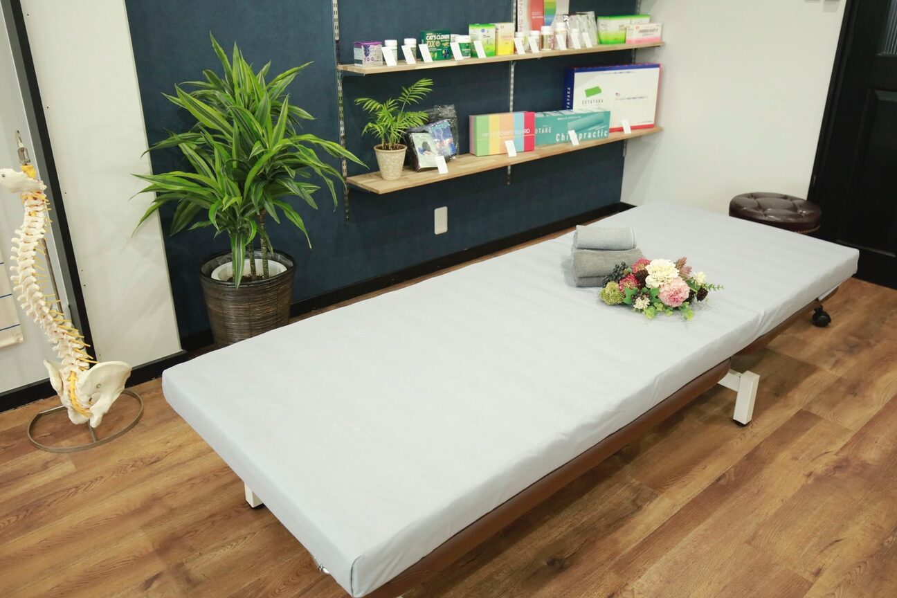 カイロプラクティック９０１画像1