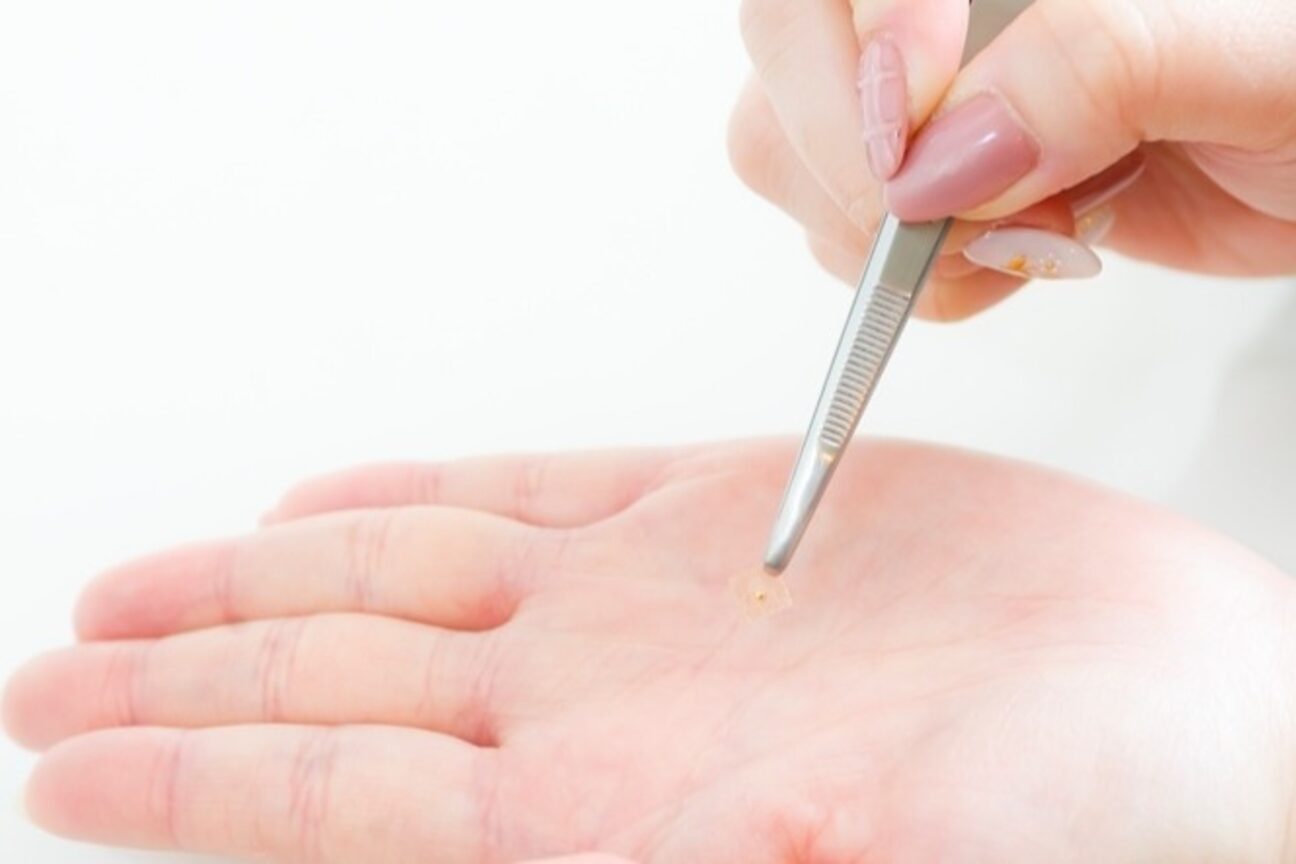 株式会社　とこはな画像1