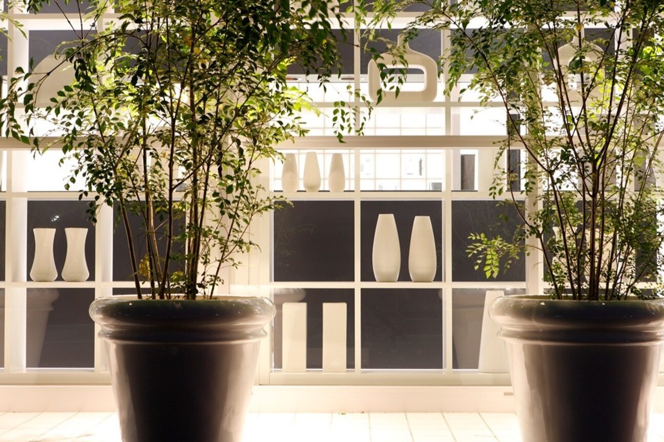 フィール ライジング 磐田(feel Rising)4