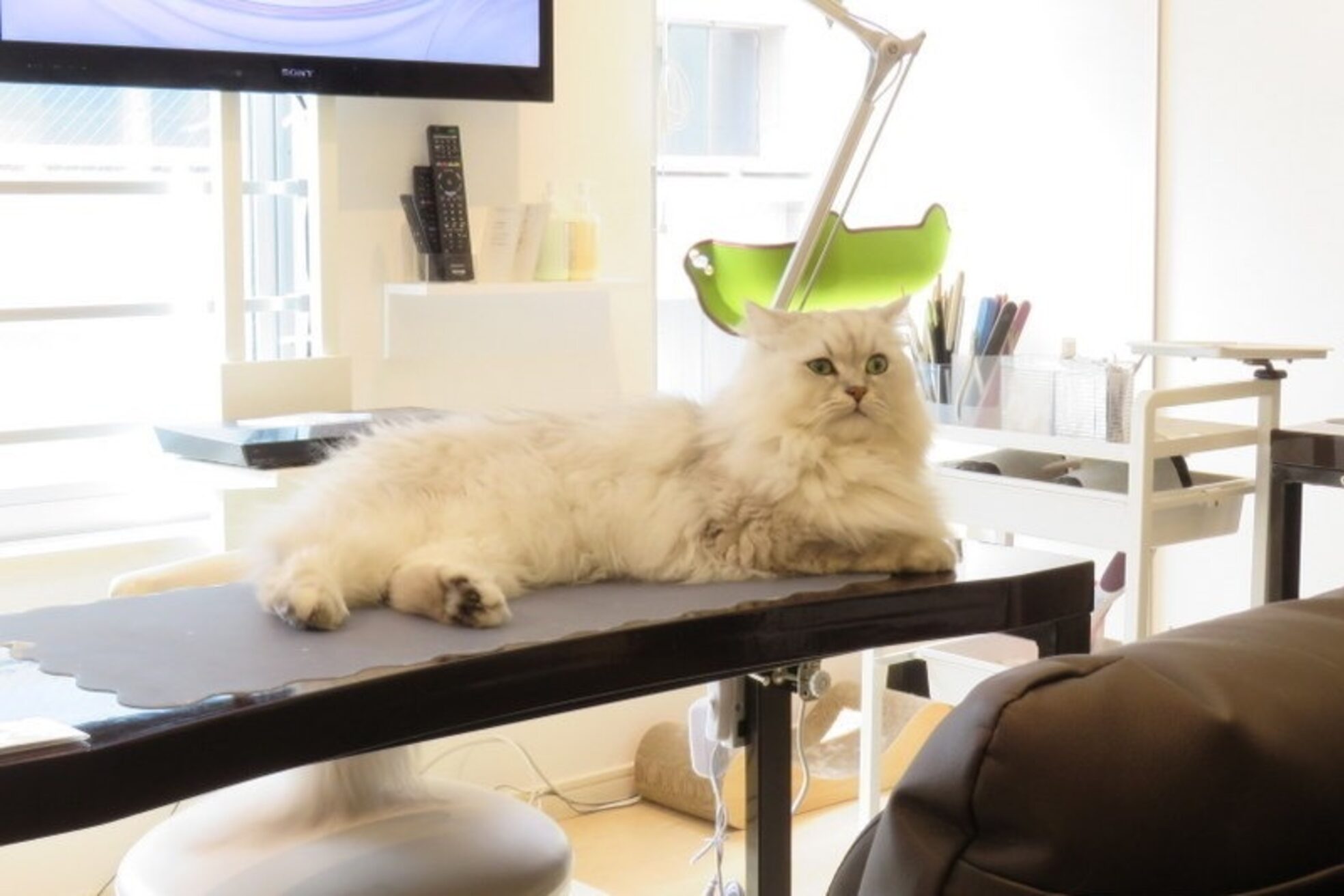 ルダリドゥー 東銀座店(Le Dali Deux)9