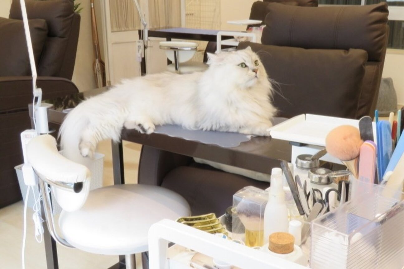 ルダリドゥー 東銀座店(Le Dali Deux)3