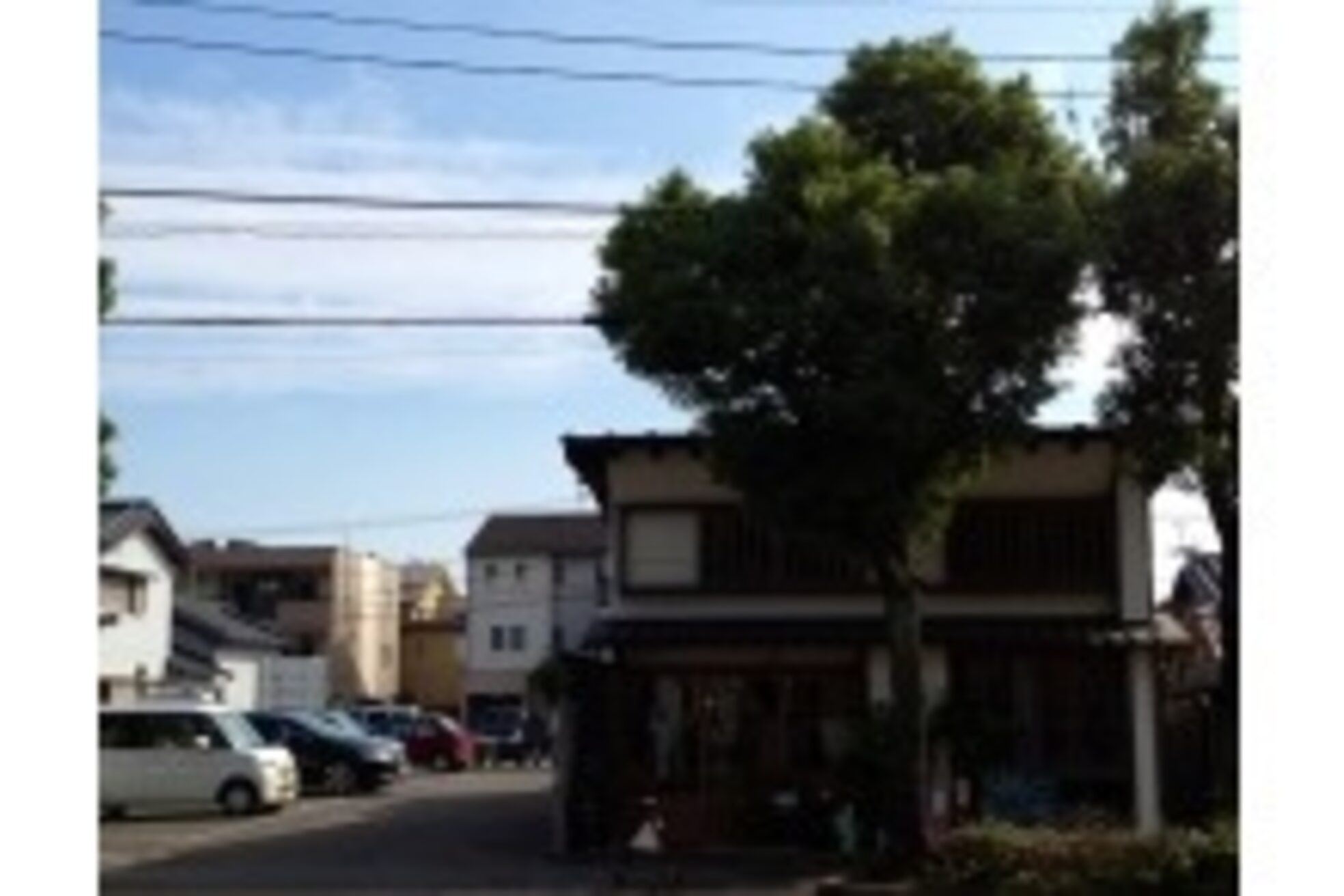 テントヘアー(tent hair)3