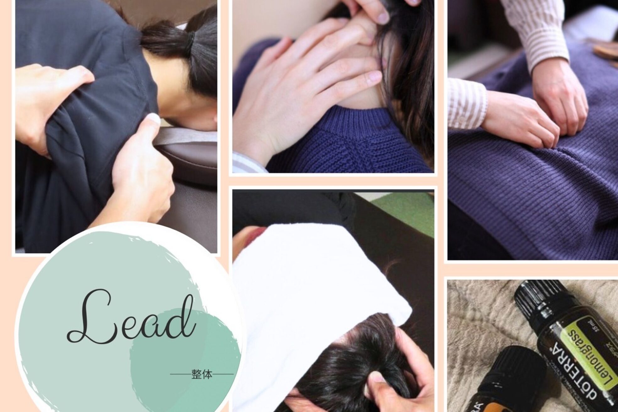 整体リード10