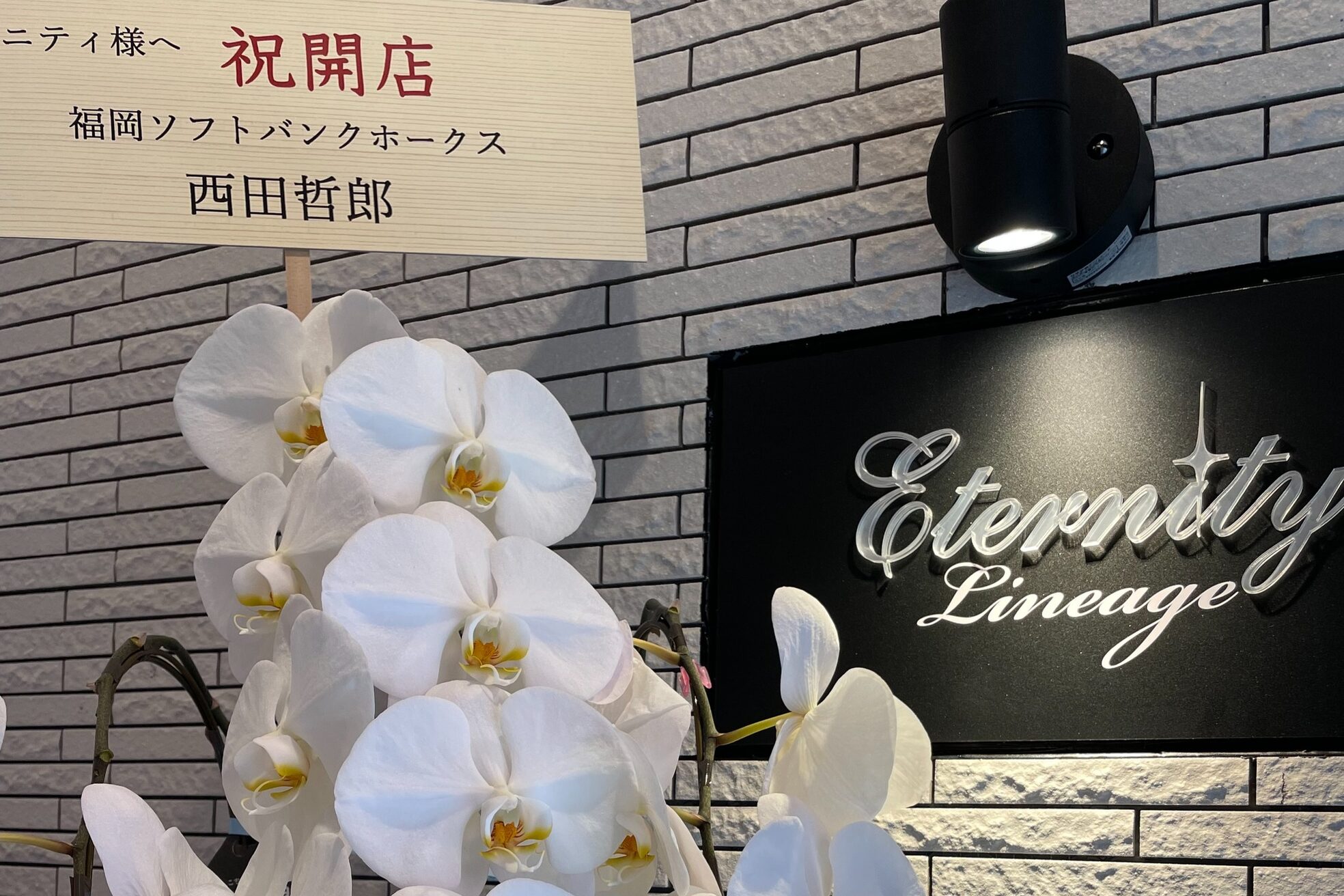 エタニティーリネージュ(Eternity Lineage)9