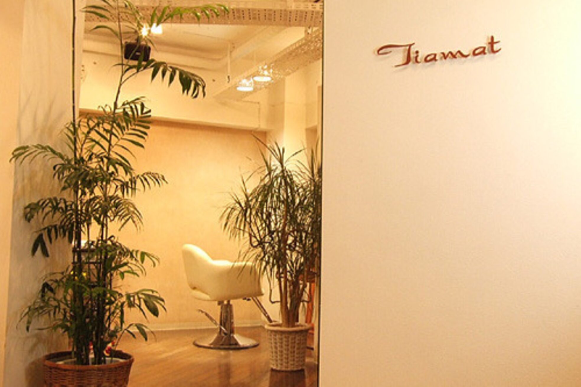 ティアマット 赤坂(Tiamat)2