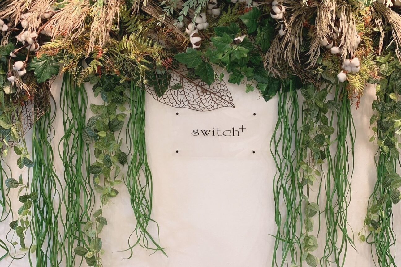 ｓｗｉｔｃｈ＋画像1