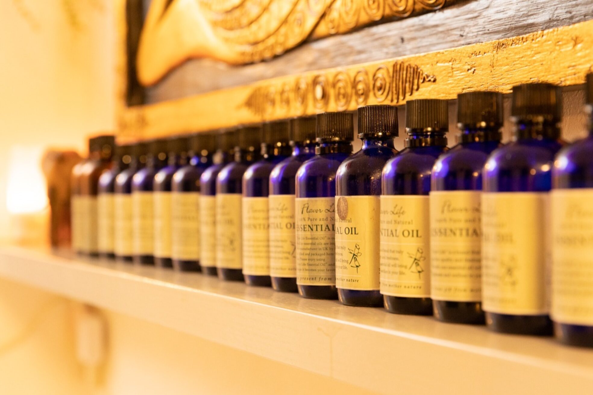 ビューティーライフ2