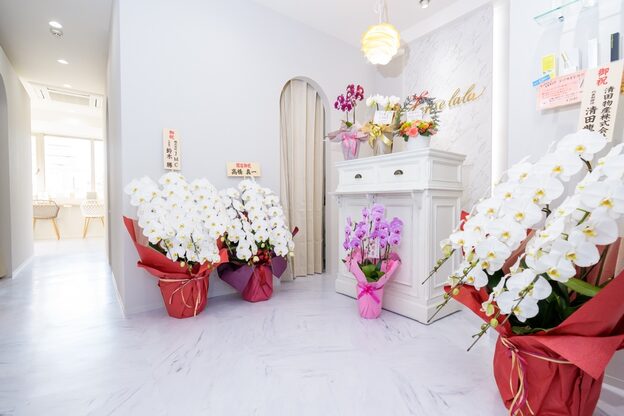 スリーズララ(Cerise LaLa)1