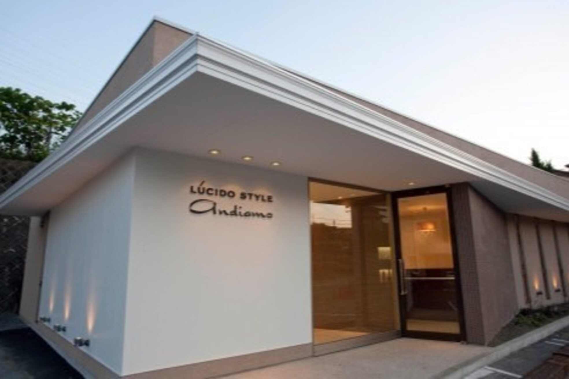 ルシードスタイルアンディアーモ(LUCIDO STYLE andiamo)2