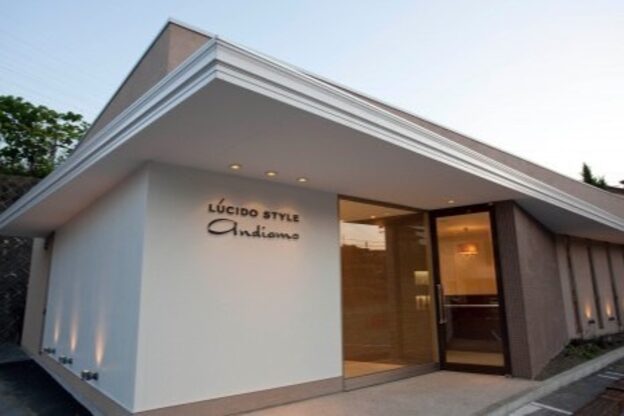 ルシードスタイルアンディアーモ(LUCIDO STYLE andiamo)2