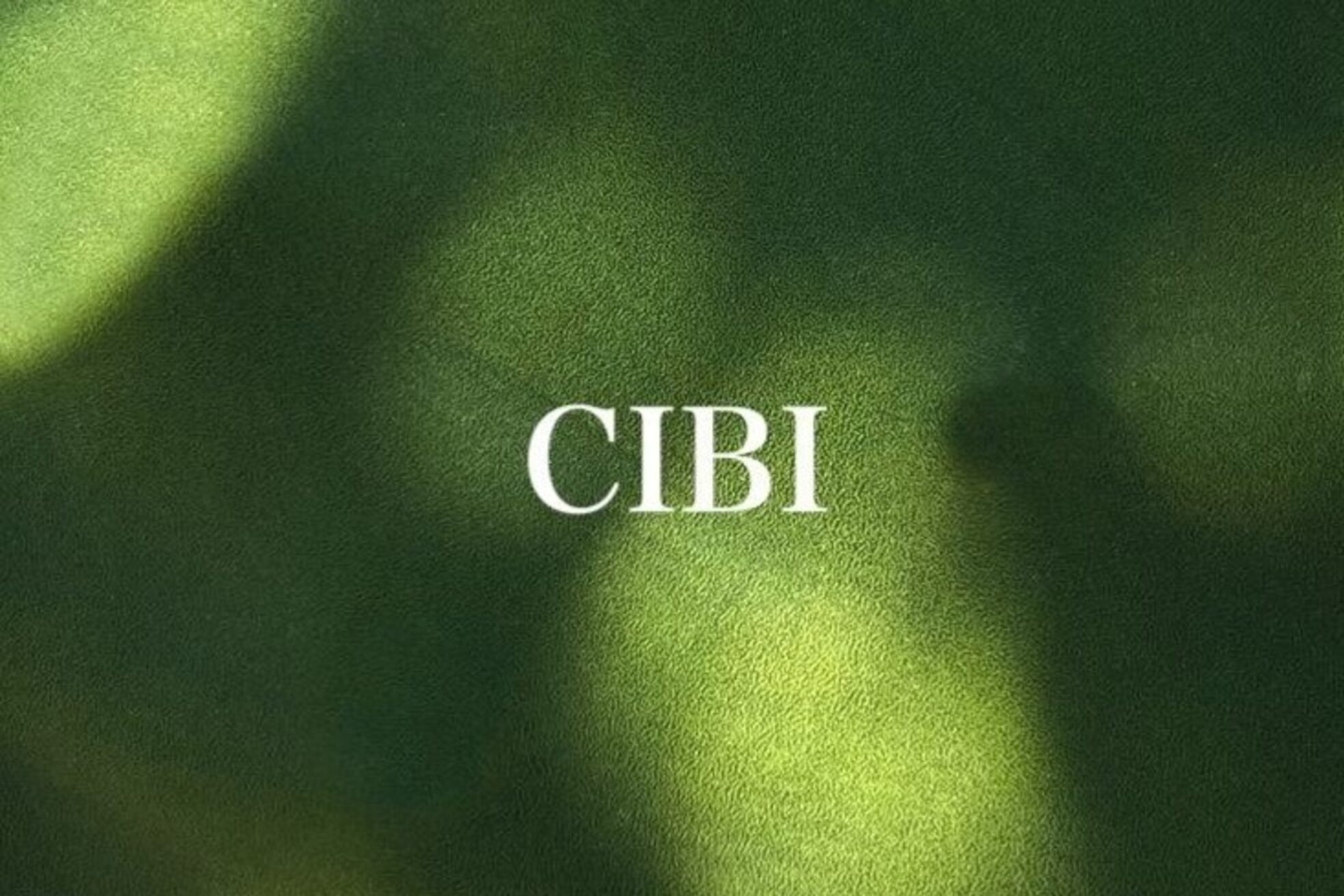 シビバイレボ(CIBI by revo)1