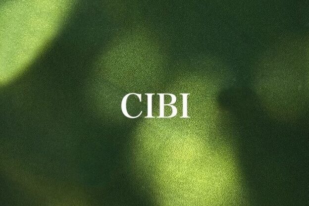 シビバイレボ(CIBI by revo)1