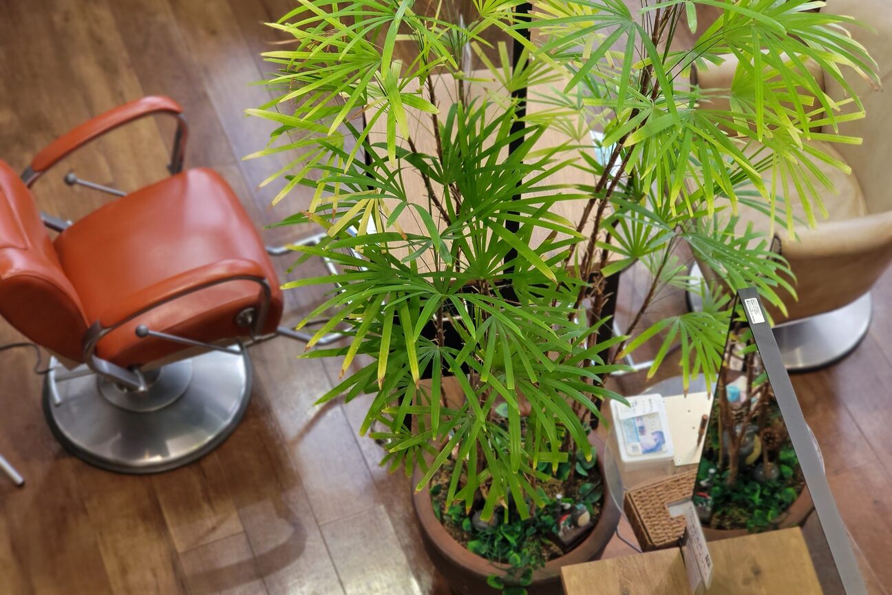 店舗の雰囲気外観用画像2