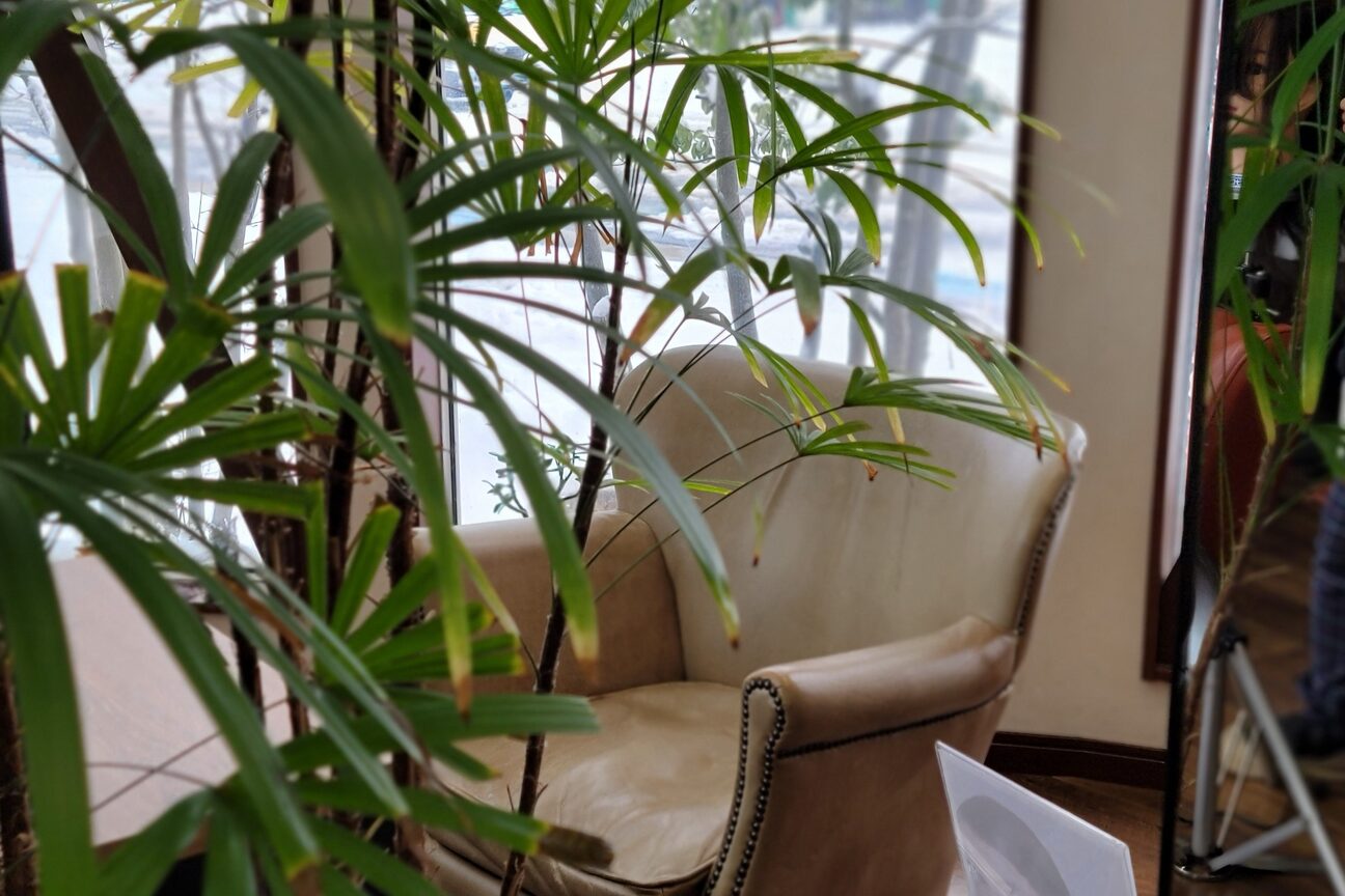 ｈａｉｒ＆ｒｅｌａｘａｔｉｏｎ　Ｃｌｏｖｅｒ（ｈａｉｒ＆ｒｅｌａｘａｔｉｏｎ　Ｃｌｏｖｅｒ）画像1