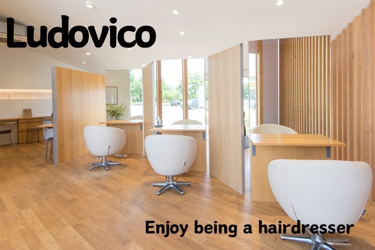 Ludovico（株式会社　Ｌｕｄｗｉｇ）画像1