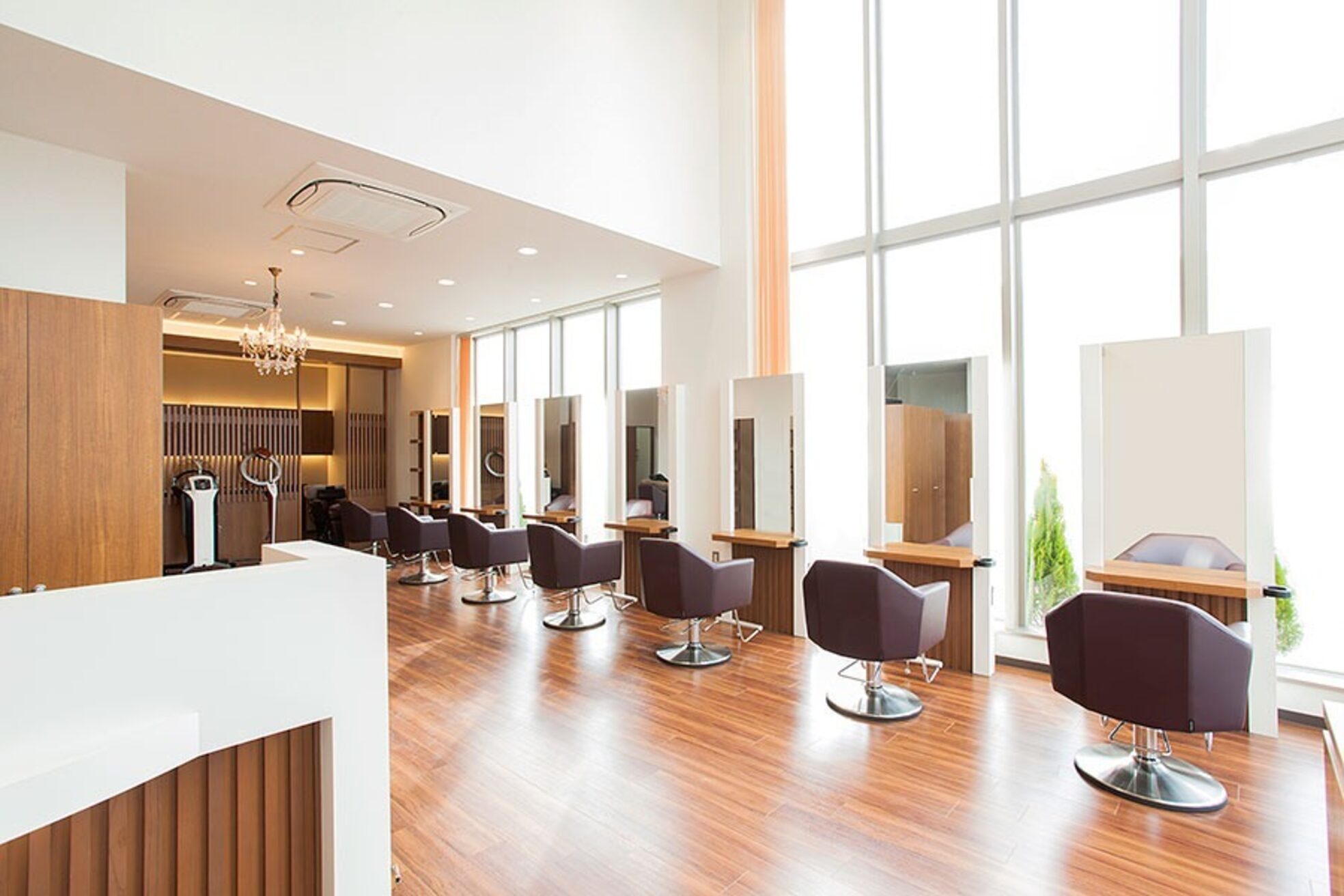 プランタン ラヴィ(printemps LaVie)2