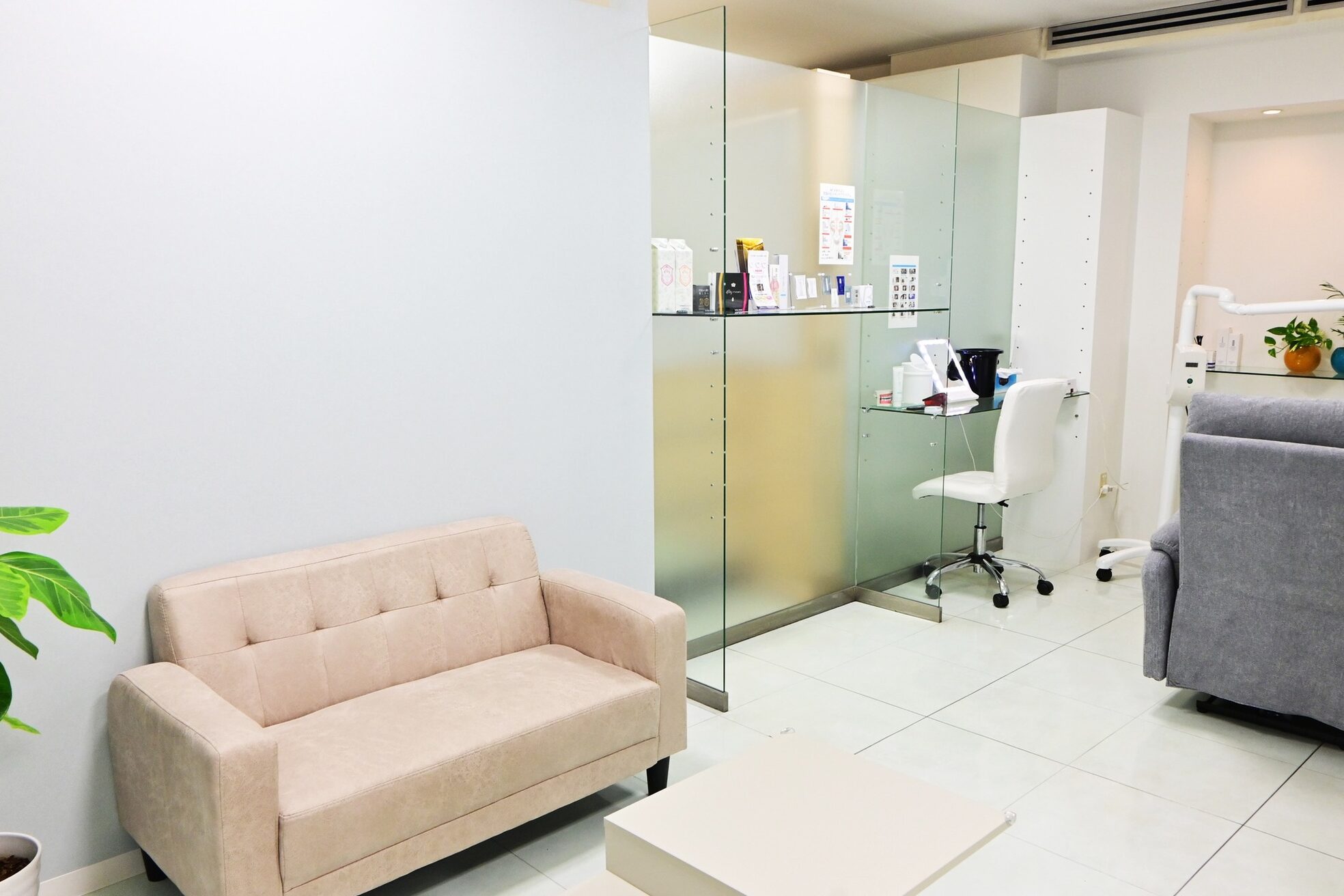 グリーンシャムロック(Green Shamrock)3