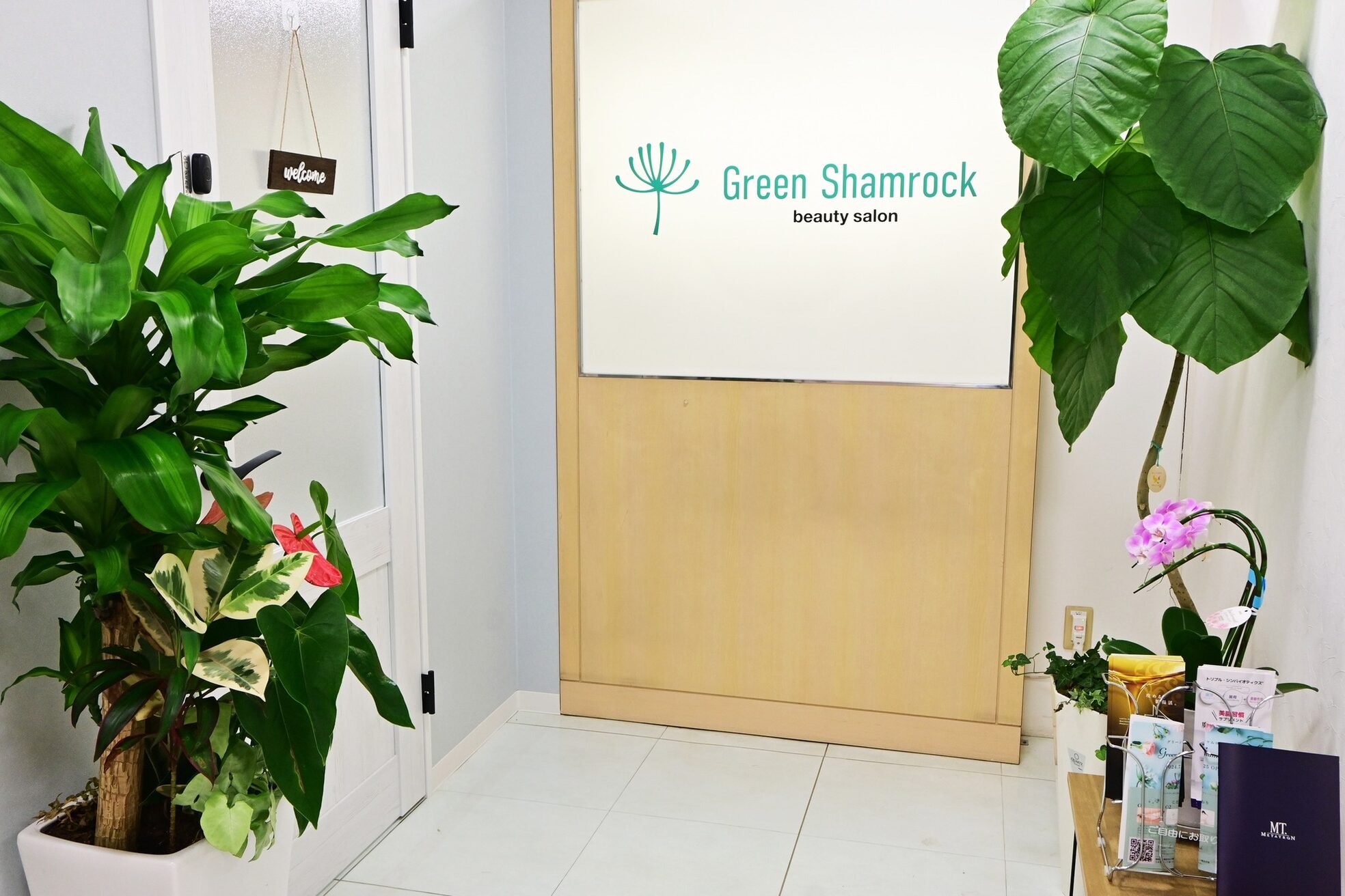 グリーンシャムロック(Green Shamrock)2