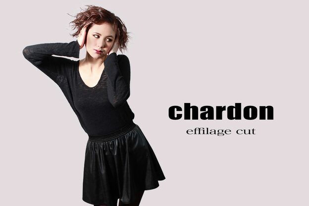 シャルドン(chardon)4