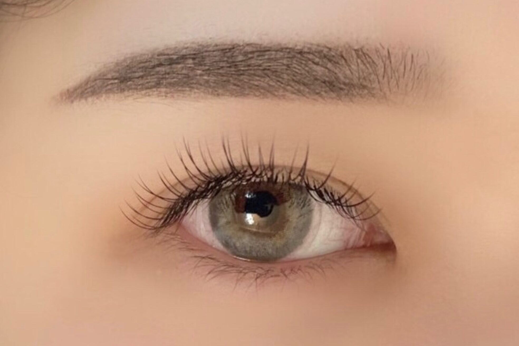 ニューラインアイプラス トウキョウ(New Line eye+ Tokyo)3