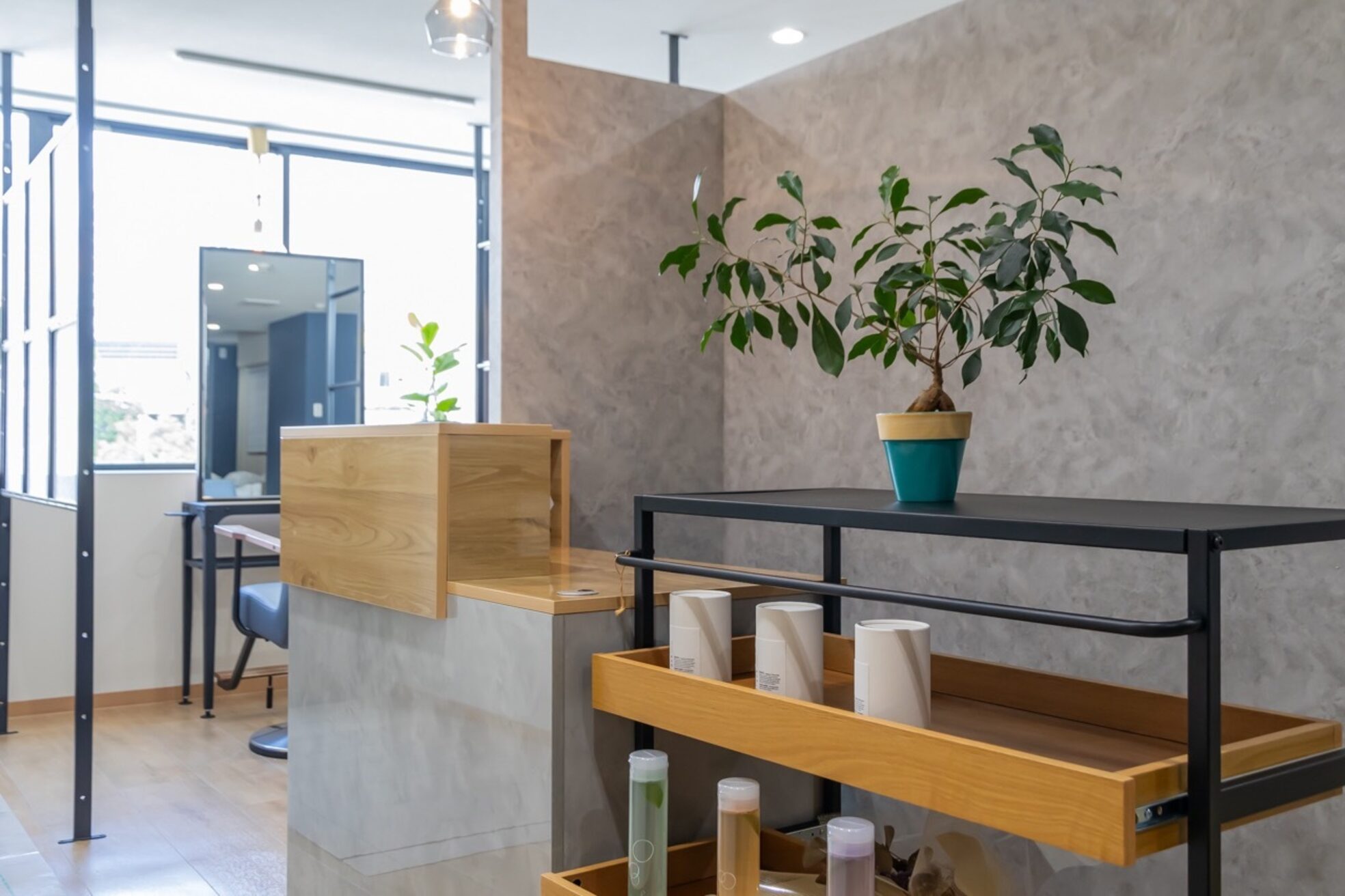 フェリス(feliz)2