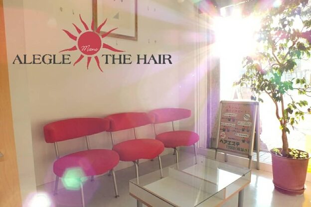 アレグレ ザ ヘアー2