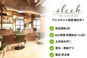 スリーク(sleek)