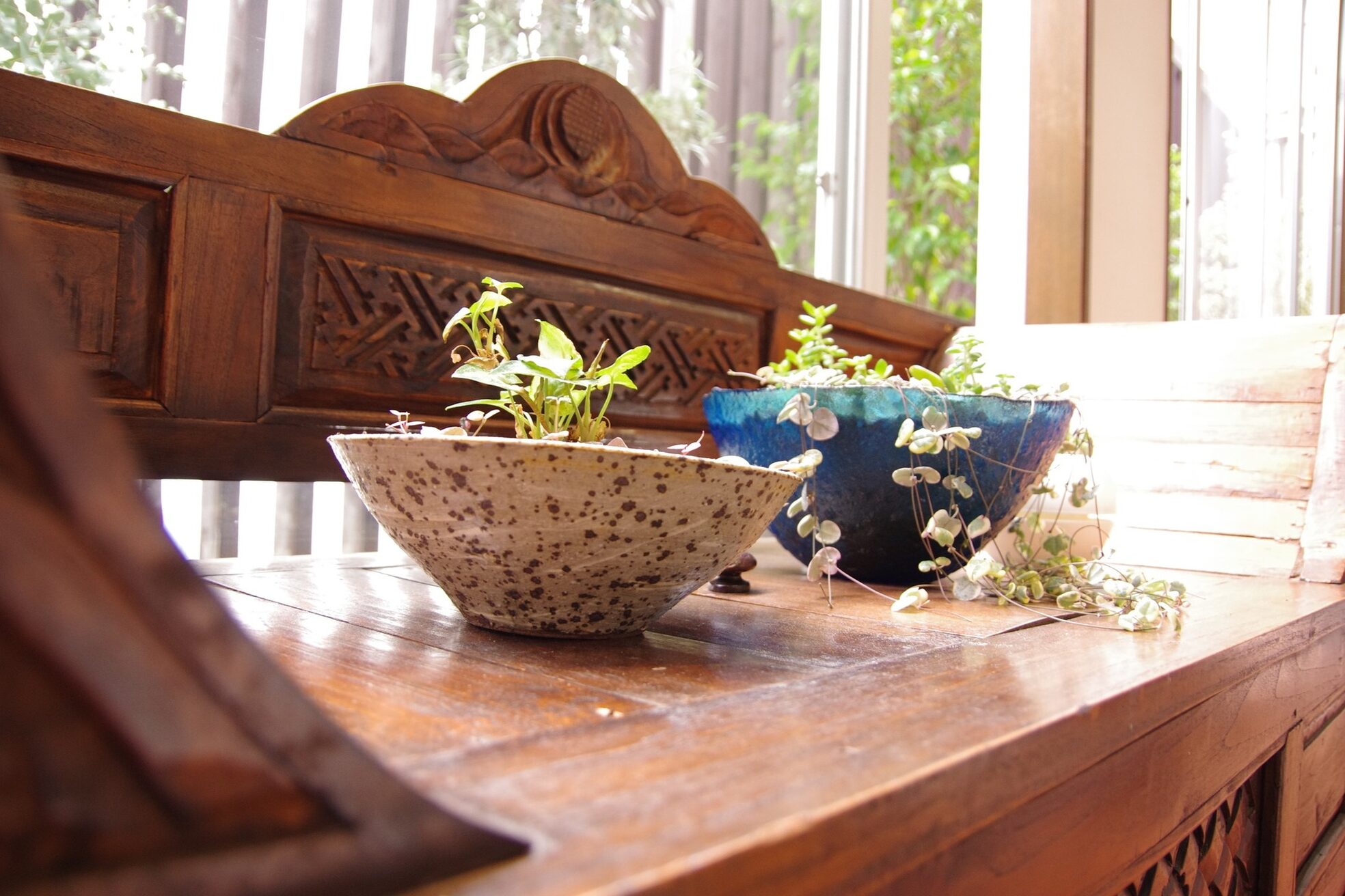 コリーヌイデアエステ(COLLINE idea esthe)2