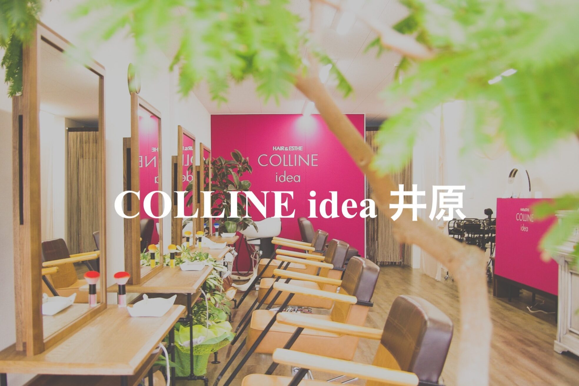 コリーヌイデア 井原(COLLINE idea)1