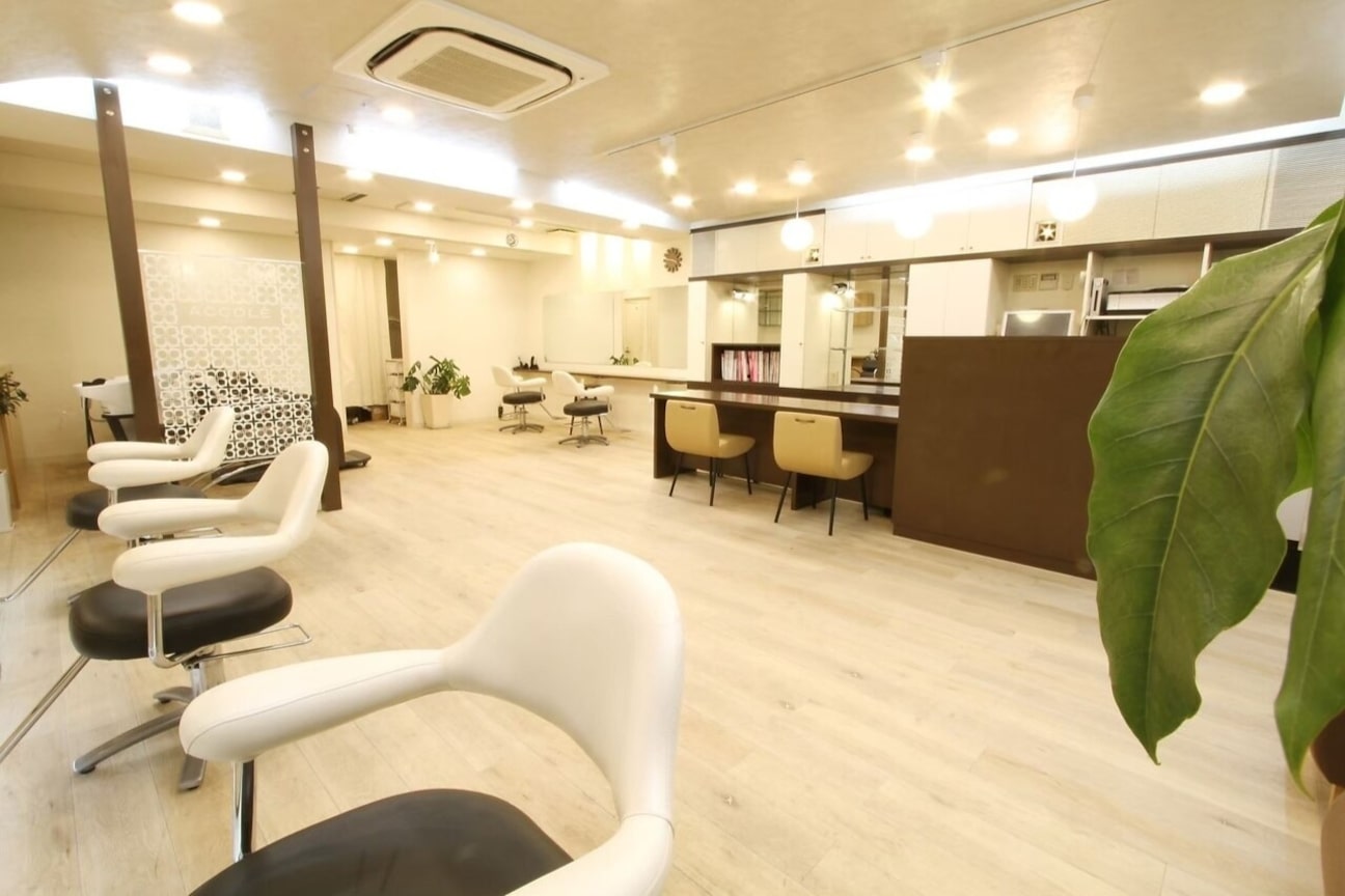 クララジャパン セタ(CLALA JAPAN Seta)2