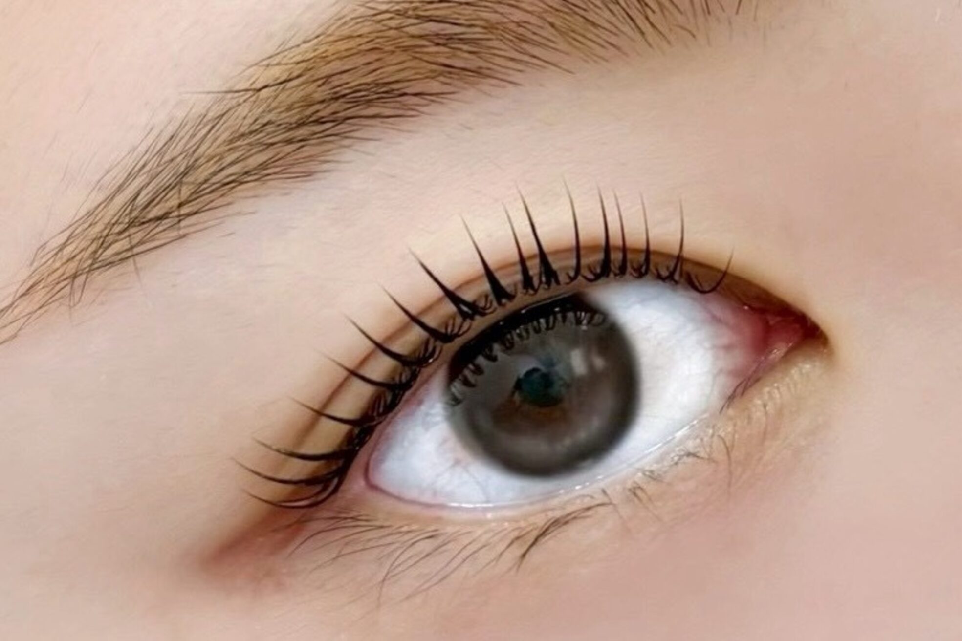 アンシュシュ(UNCHOUCHOU)2