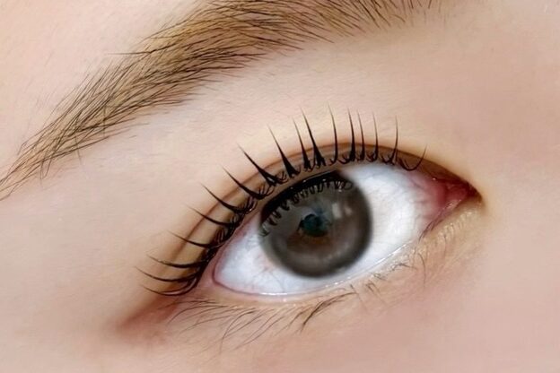 アンシュシュ(UNCHOUCHOU)2