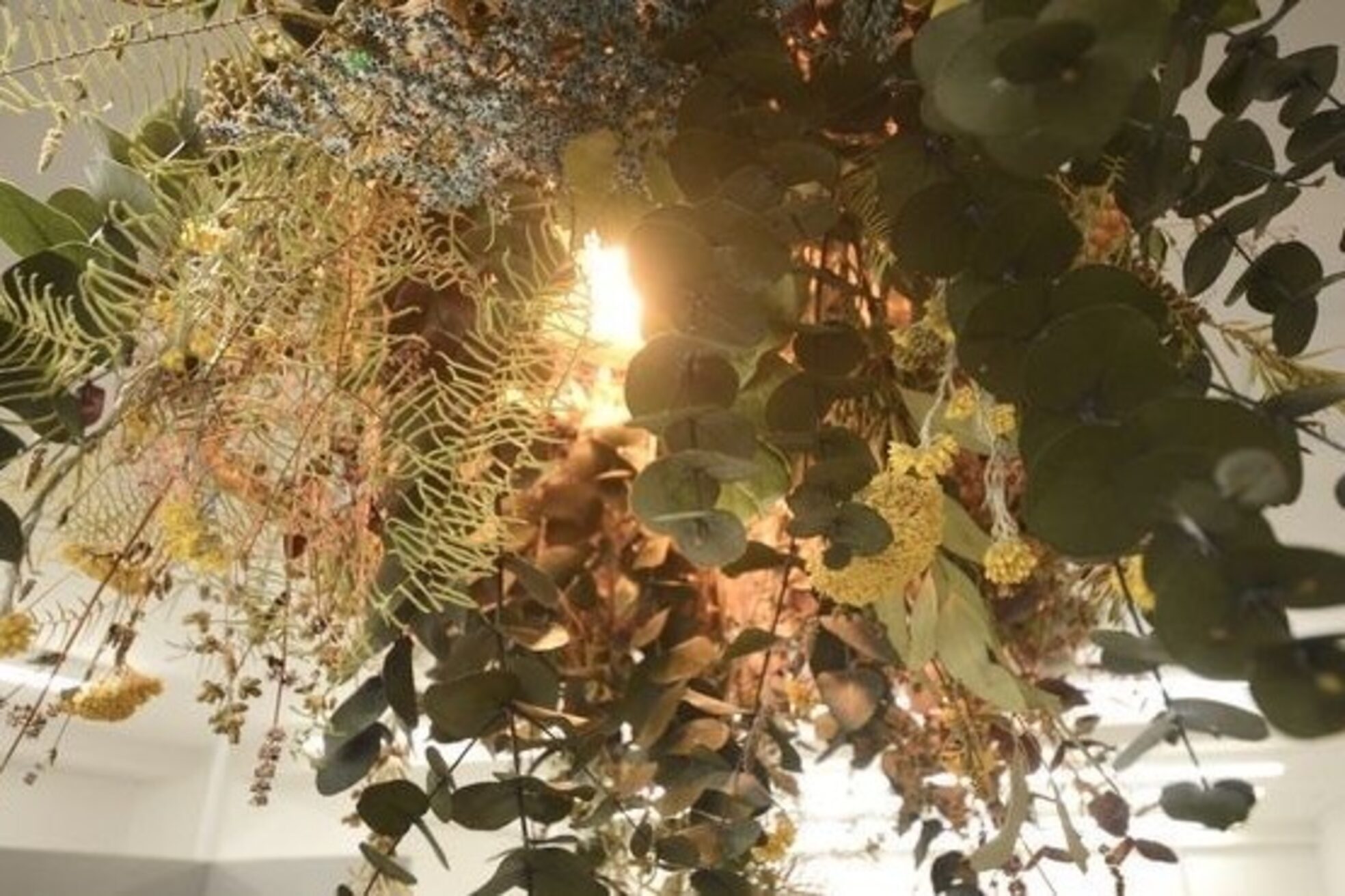 王様の昼寝 立川店4