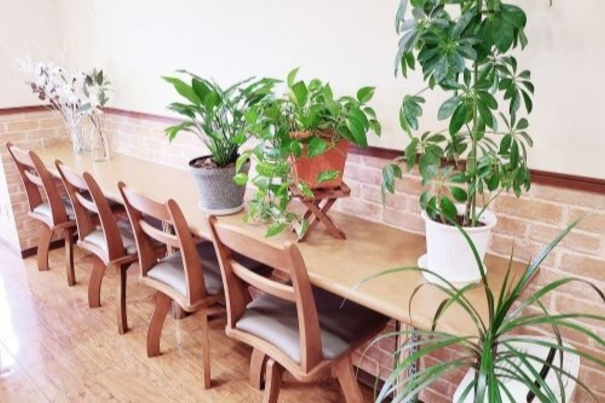 スタジオエムズ 鎌取店(Studio M’s)3