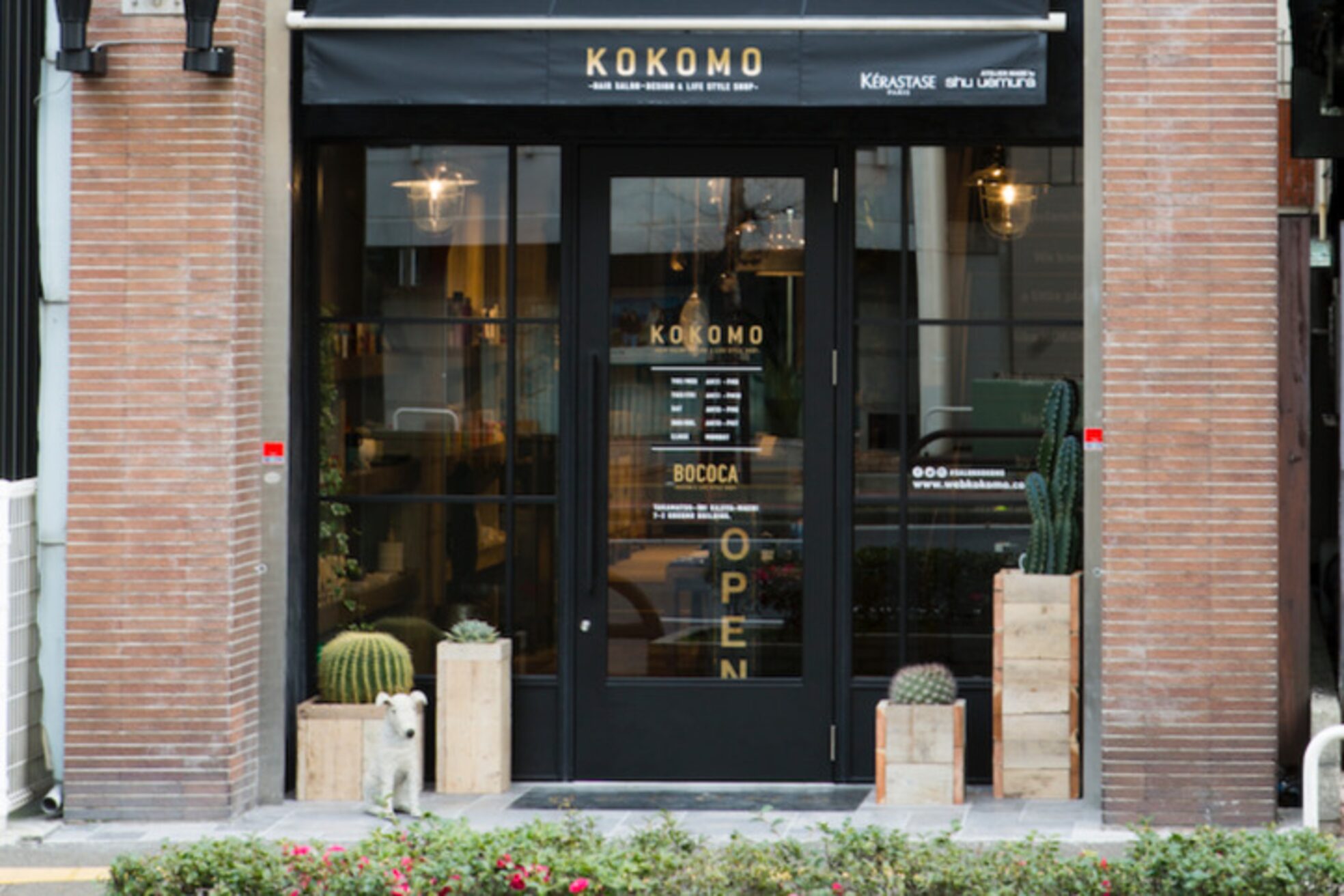 ココモ(KOKOMO)2