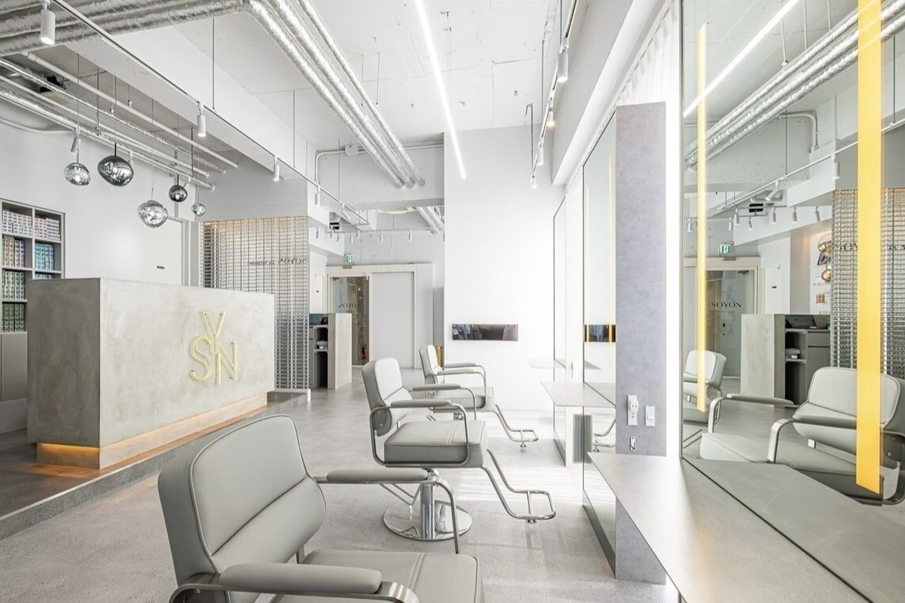 SOYON(株式会社 Alphabet)画像1