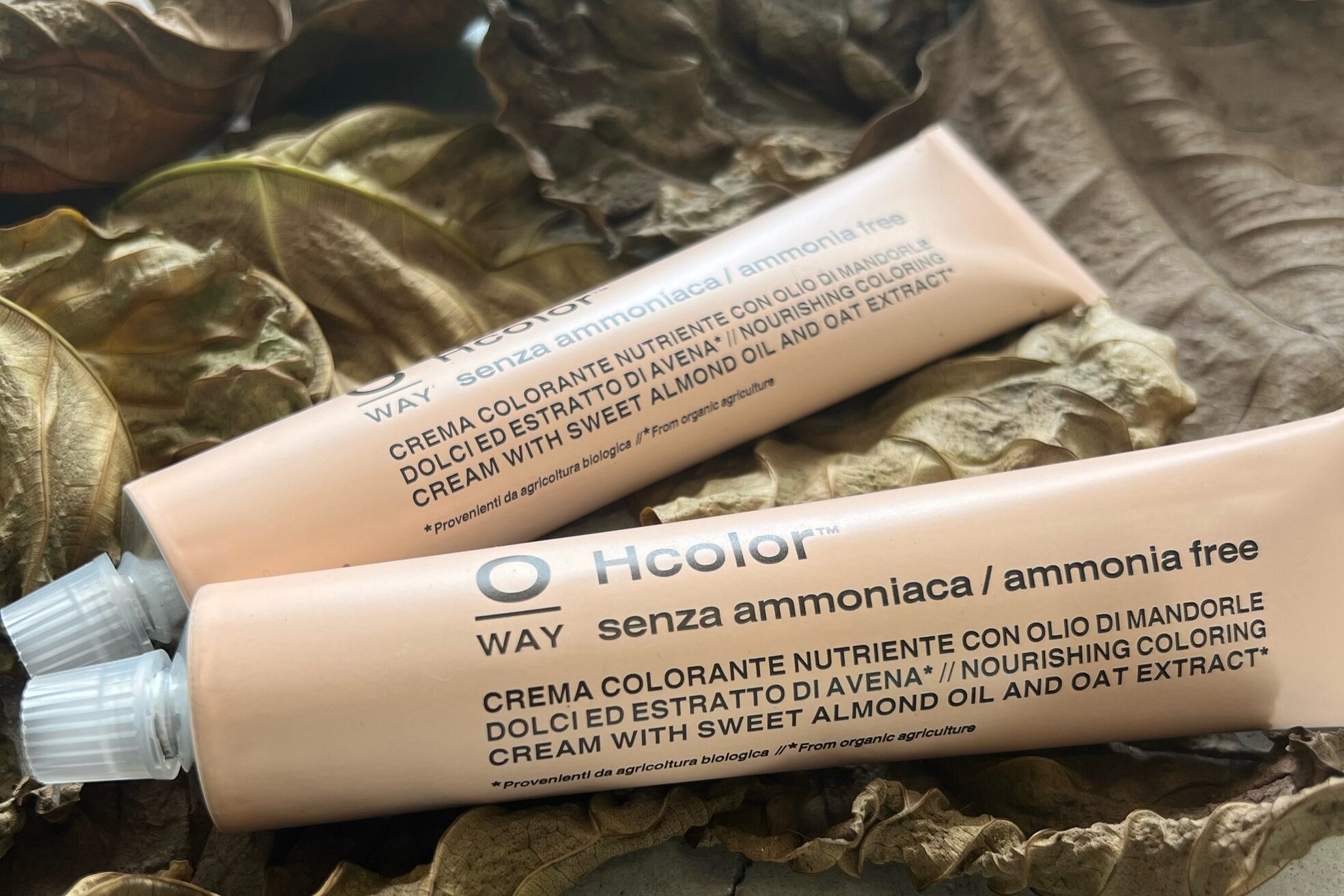 ソラ タビ(SORA tabi)5