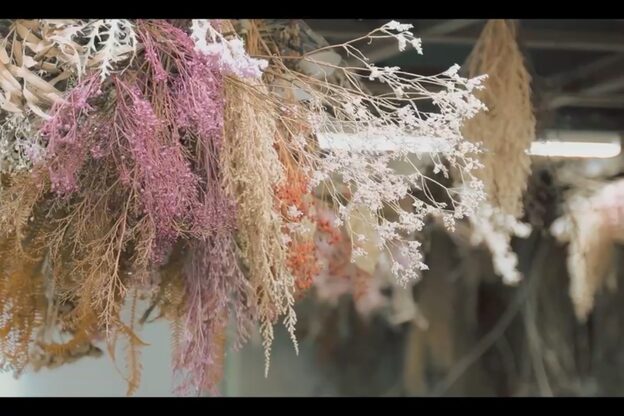バンズネイル(Banz nail)4
