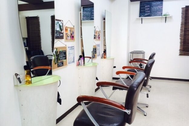 ディーエッチハルフィックス(Dh-HAL Fix)2