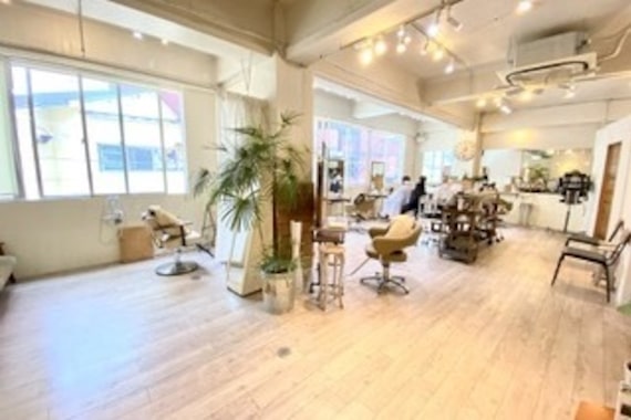 ヒラソル(girasol)