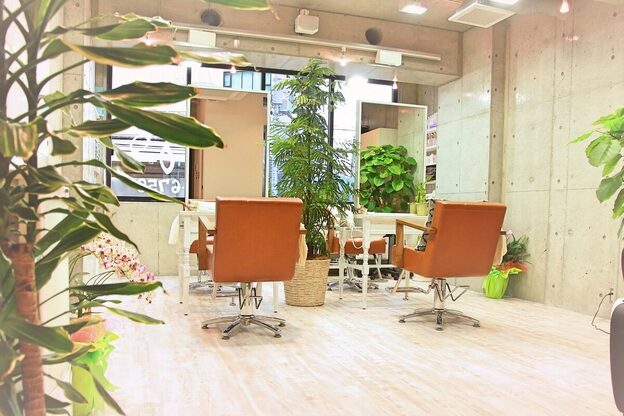 オモルフィ(Omorfi)1