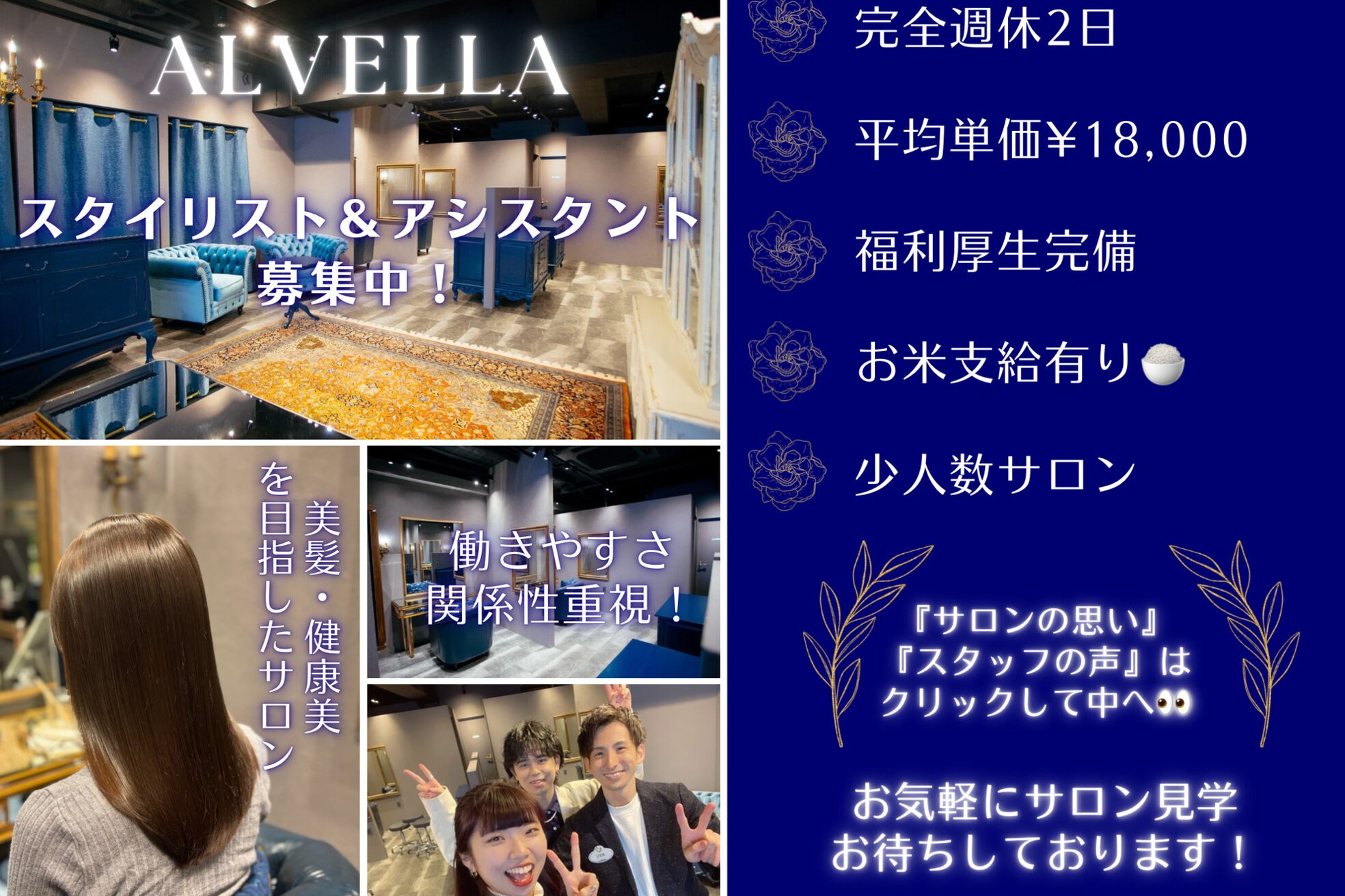 アルベラ(ALVELLA)1