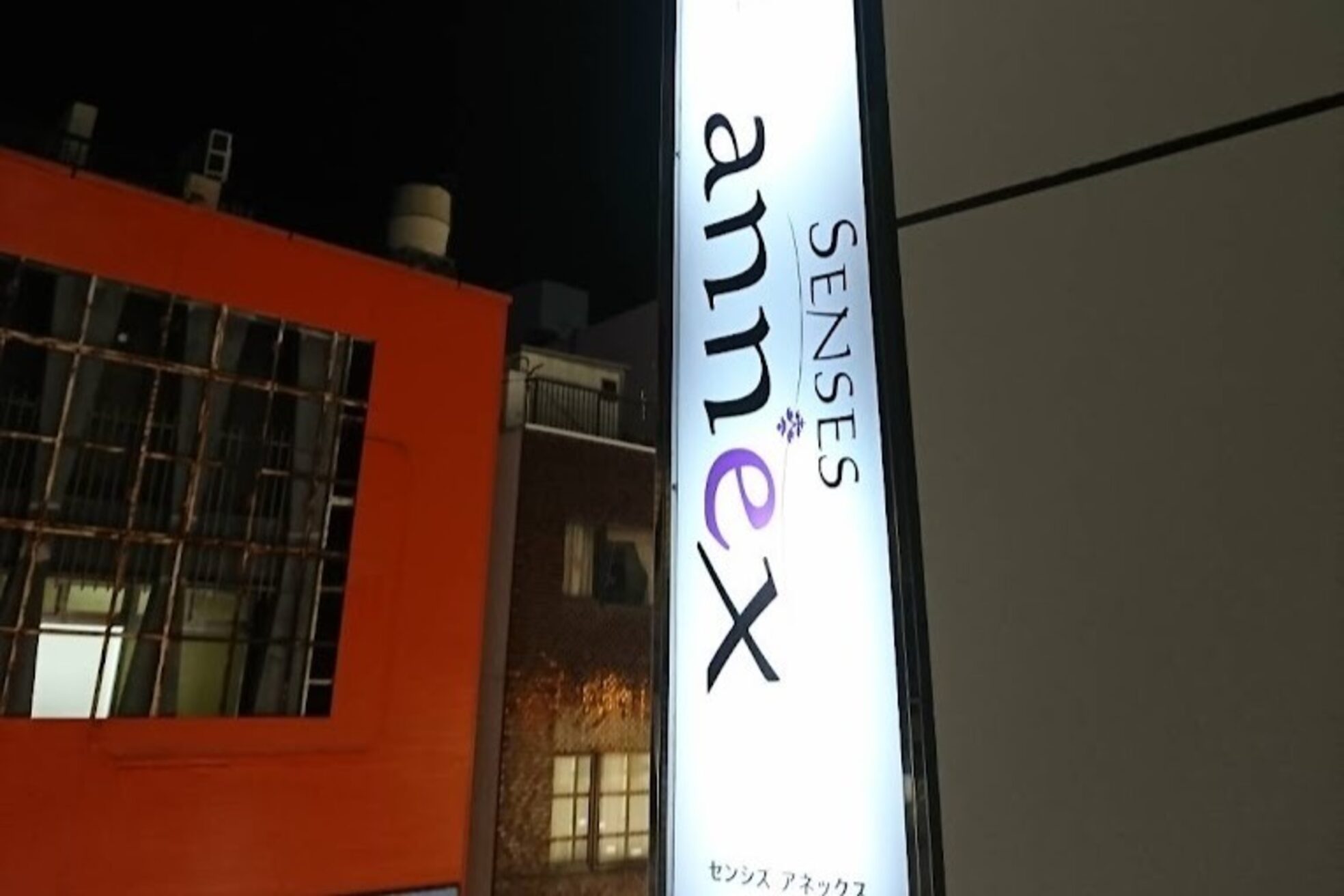 センシズアネックス(SENSES annex)3