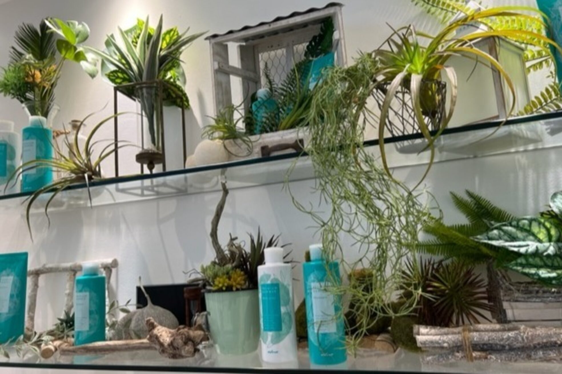 アッシュ 横浜瀬谷店(Ash)14