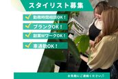 ディアーバイラポールヘア(Dear by RAPPORT HAIR)