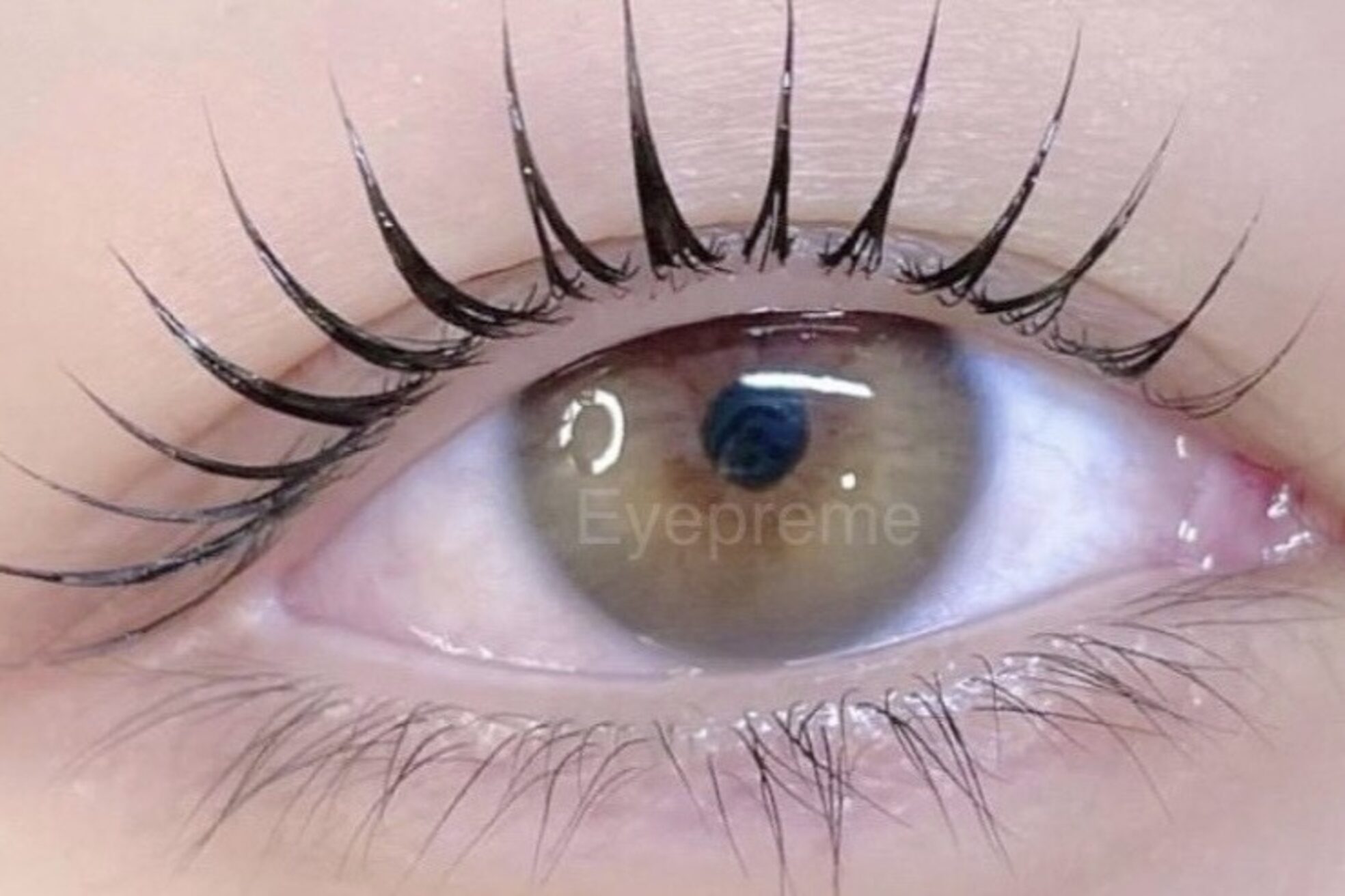 アイプリーム 恵比寿(Eyepreme)8