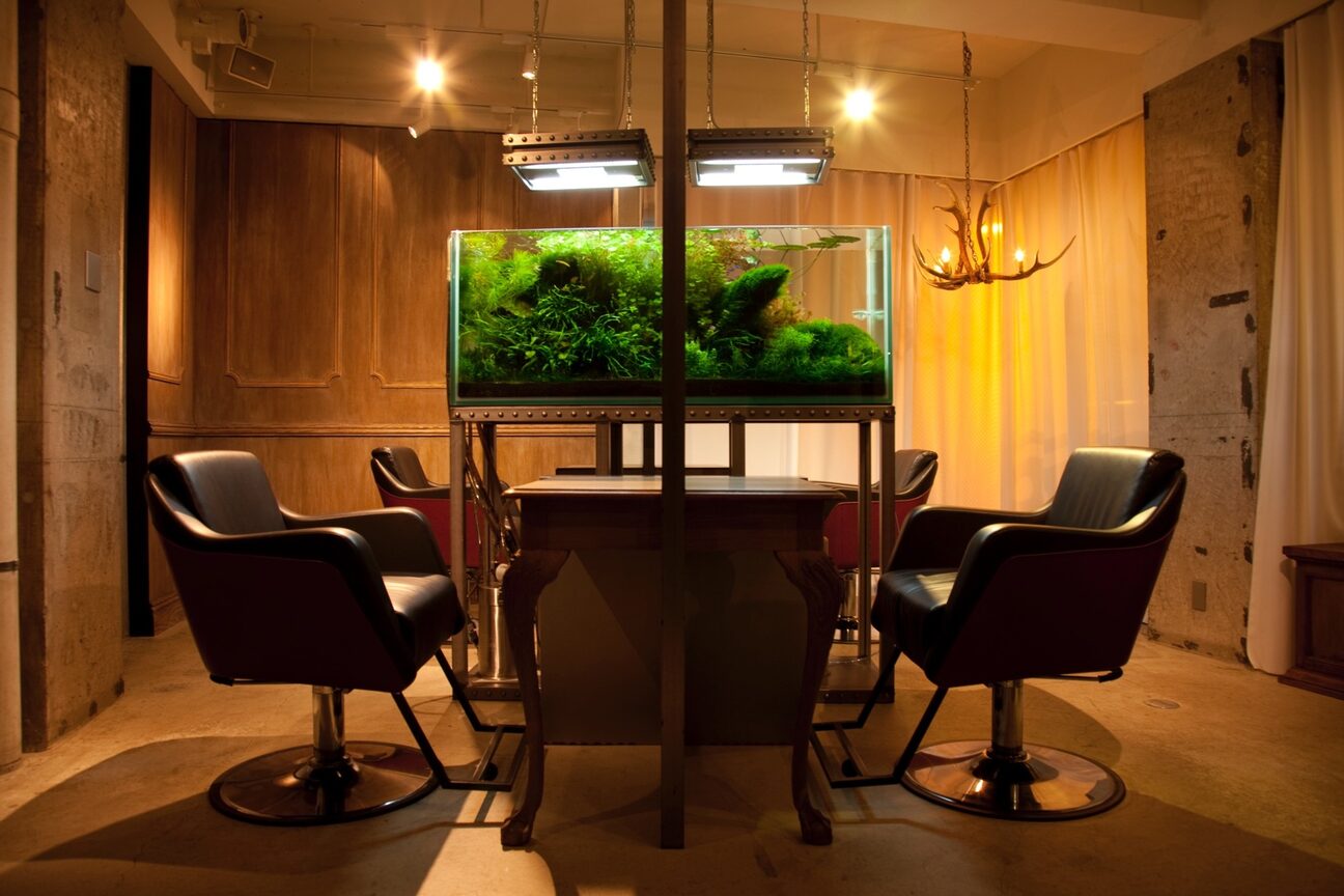 ＳＥＣＯＮＤ　ＮＡＴＵＲＥ画像1