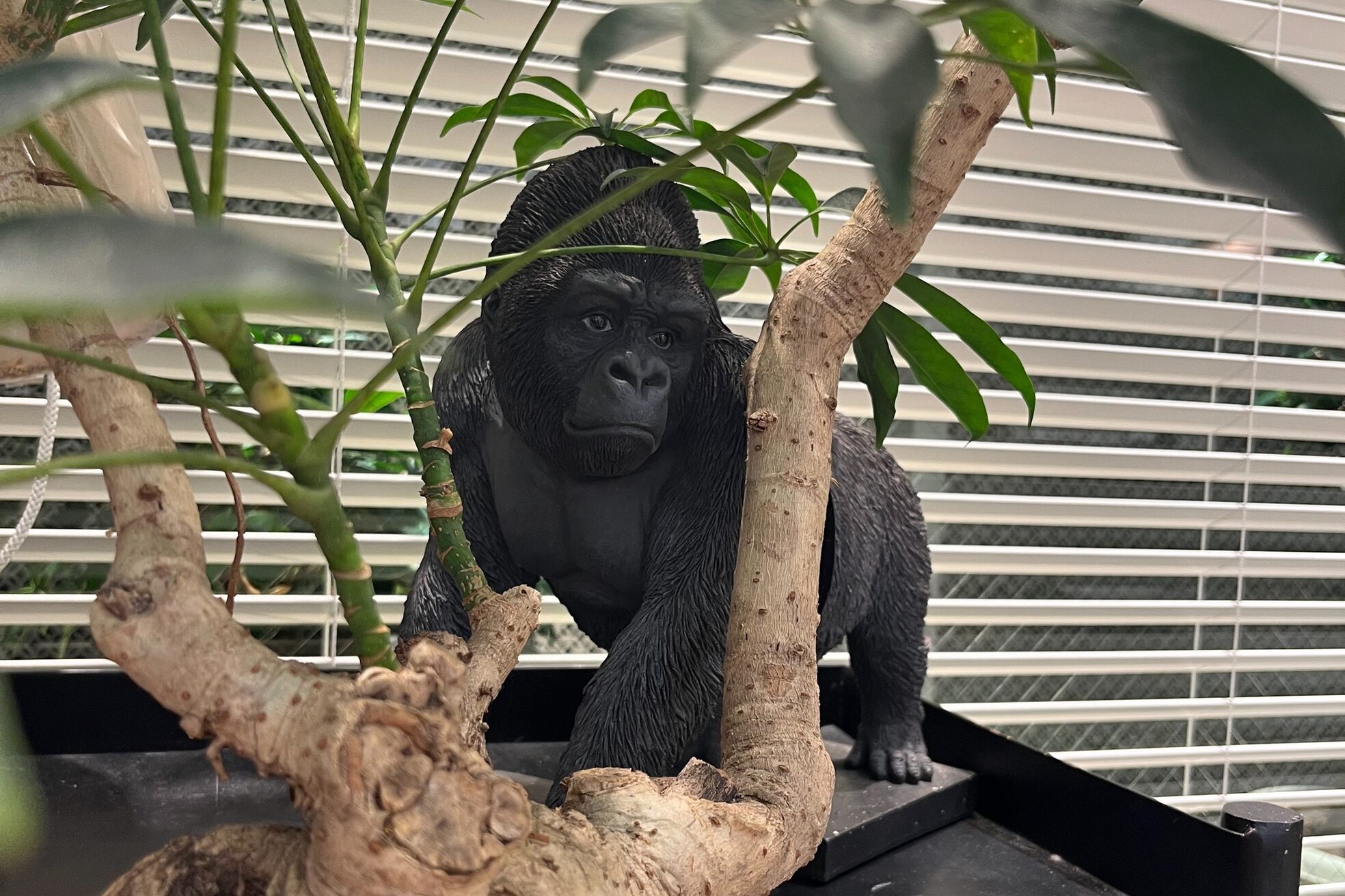 インデックスヘア リブゴーシュ スパ 両国5