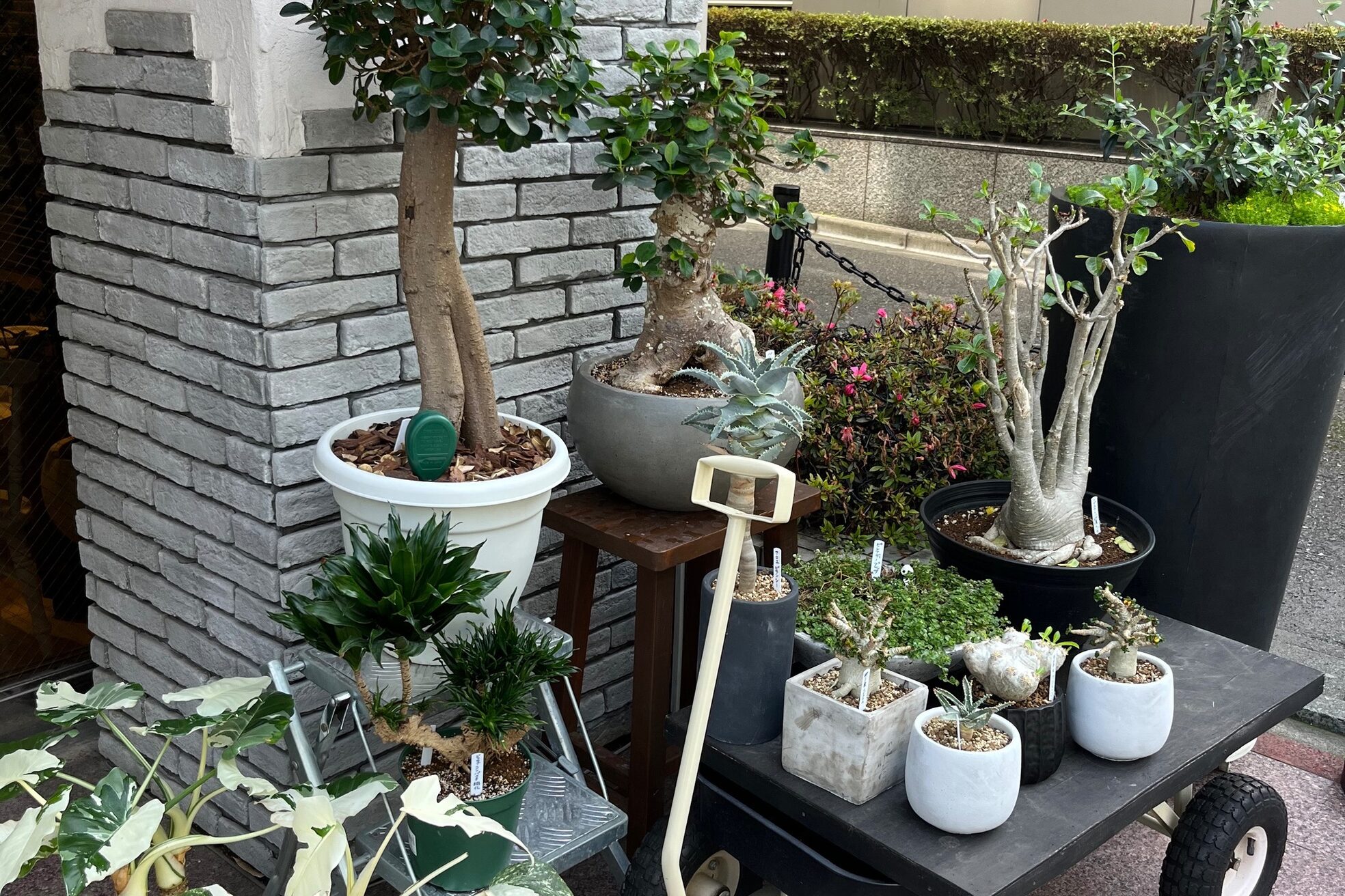 インデックスヘア リブゴーシュ スパ 両国9