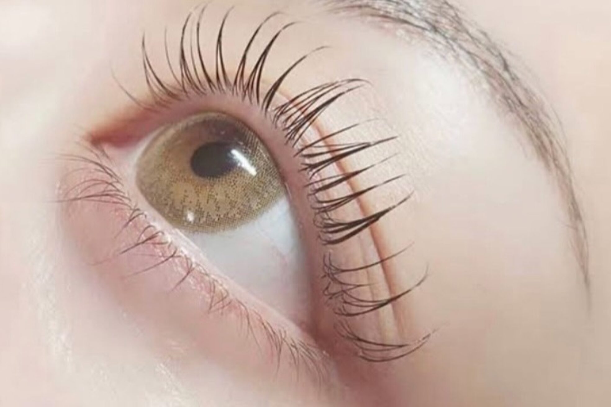 アモール 丸亀店(Amor)3